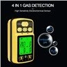 2. Multi Gas Tester